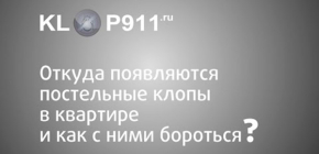 Od kod prihajajo v stanovanju in kaj storiti v primeru njihovega odkrivanja