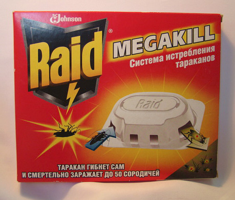 Raid ščurki