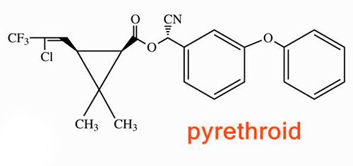 Primer kemijske strukture piretroidov