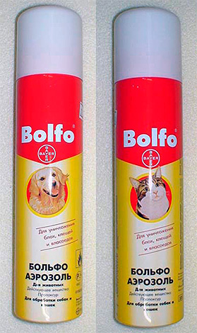 Aerosol Bolfo Bols