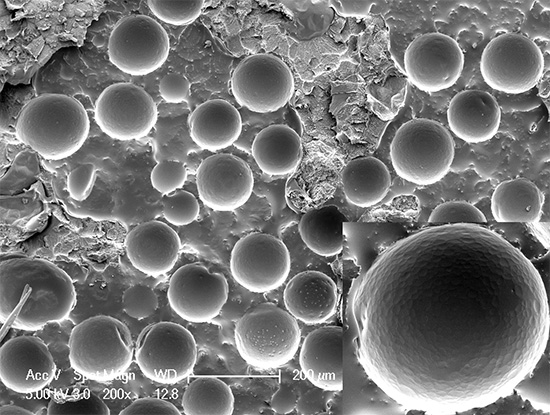 Mikrokapsule insekticid sredstva pod elektronskim mikroskopom