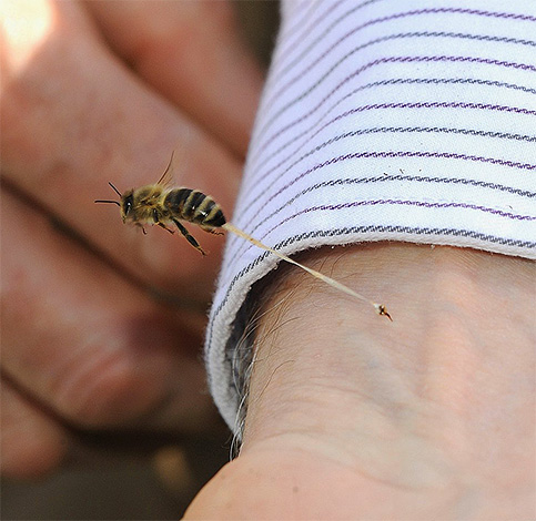 Z ugrizi nekaterih žuželk je učinkovitost mazil in krem ​​lahko nezadostna, kar je v veliki meri odvisno od same osebe.