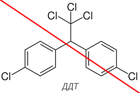 Danes je DDT prepovedan za uporabo v celotnem civiliziranem svetu.
