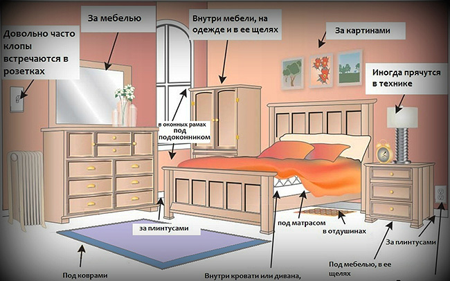 Slika prikazuje mesta v sobi, katerih obdelavo je treba posvetiti posebno pozornost (tam lahko najpogosteje najdete hrošče).