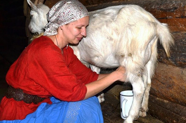 Okužba KE se lahko pojavi tudi pri uporabi surovega koz ali kravjega mleka.