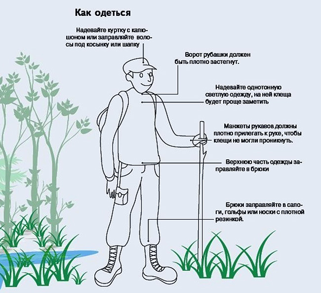 Kako se obleči, da se zaščiti pred klopi v gozdu