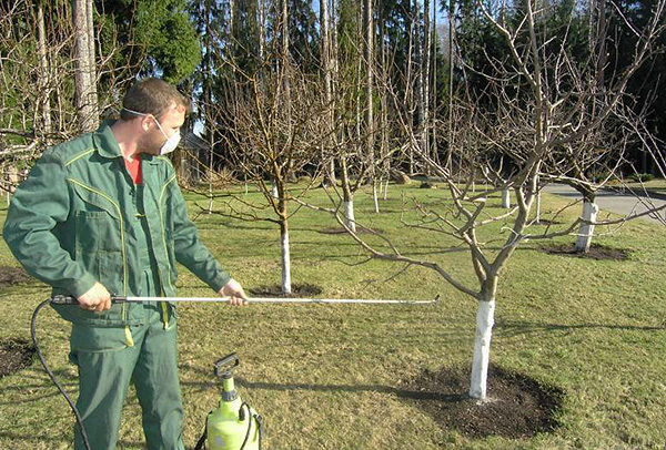 Praviloma neodvisna povzetek vrtnega območja od klopov daje manjši učinek kot privabljanje strokovnjakov.