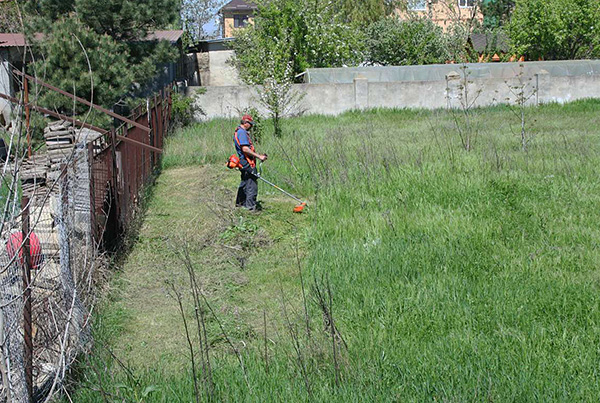 Po črpanju trave ga je treba odstraniti z mesta še pred predelavo ozemlja.